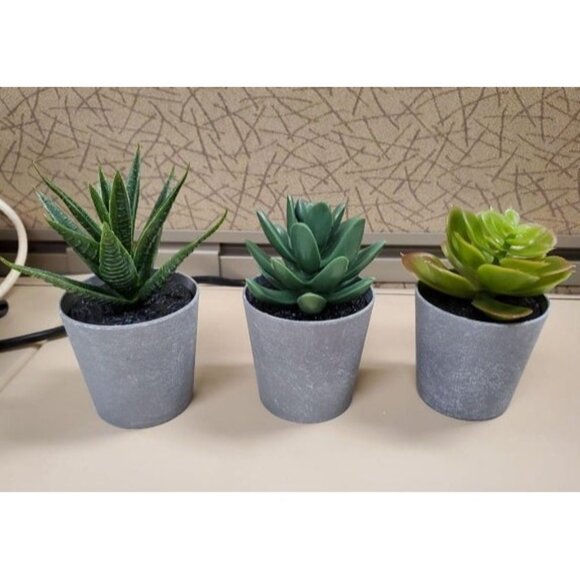 New Artificial Succulents Set of 3 Mini Realistic Fake Plants with Plastic Pots - Picture 1 of 2